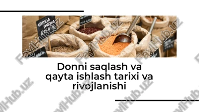 donni saqlash va qayta ishlash tarixi va rivojlanishi — PDF
