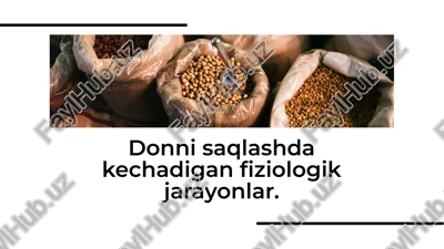 donni saqlashda kechadigan fiziologik jarayonlar. — PDF