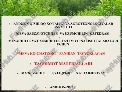 meva ko‘chatzori — PPTX