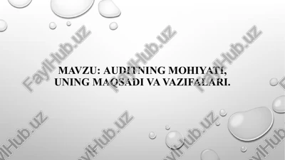 auditning mohiyati, uning maqsadi va vazifalari — PPTX