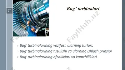 bug’ turbinalari — PPTX