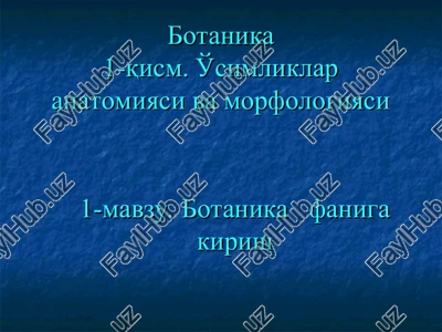 botanika — PPT