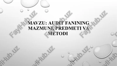 auditfanining mazmuni, predmeti va metodi — PPTX
