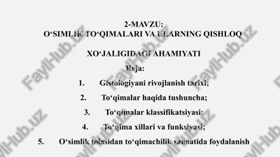 o‘simlik to‘qimalari va ularning qishloq xo‘jaligidagi ahamiyati — PPTX