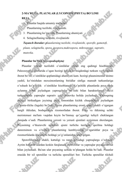 plaunlar (lycopodiophyta) — DOCX