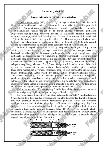 kapsul – detonatorlar (kd) — DOC