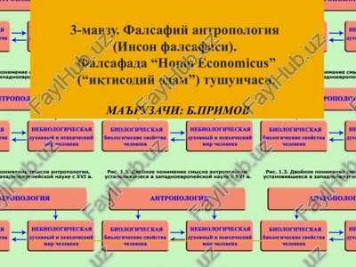 falsafiy antropologiya(inson falsafasi) — PPT