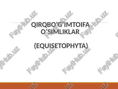 qirqbo’g’imtoifao’simliklar(equisetophyta) — PPTX