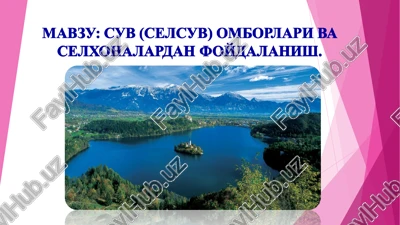 cyb (cejicyb) ombopjiaph ba cejixohajiapiah ®omjajiahhmii — PPT