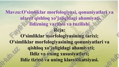 o'simliklar morfologiyasi — PPT
