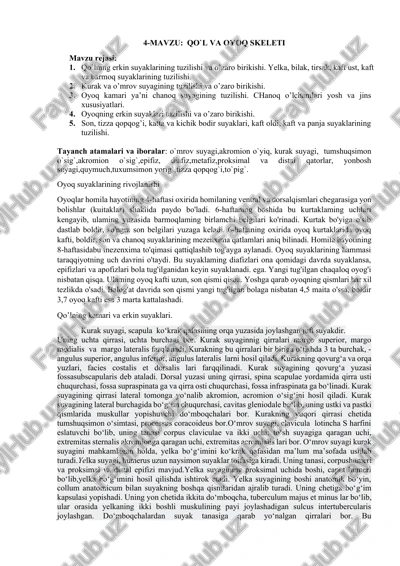 qo`l va oyoq skeleti — DOCX