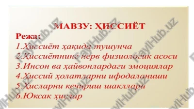 mab3y: xhcchet — PPTX