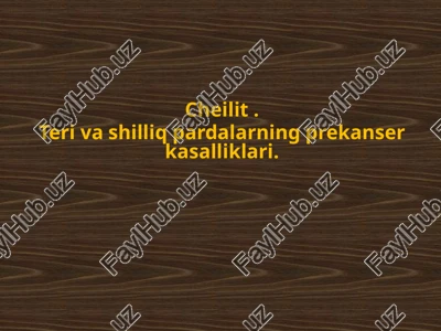 cheilit — PPTX