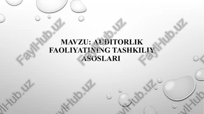 auditorlik faoliyatining tashkiliya asoslari — PPTX