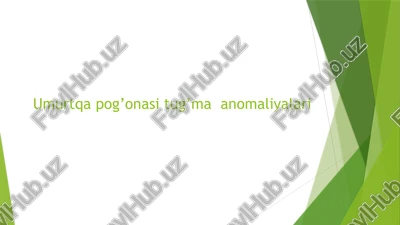 umurtqapog'onasituzilishivafunktsiyasi — PPTX