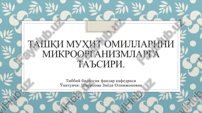 tashqi muhit omillarini mikroorganizmlarga ta'siri — PPTX