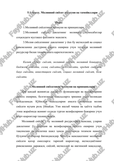 moliyaviy siyosat mazmuni va tamoyillari — DOCX