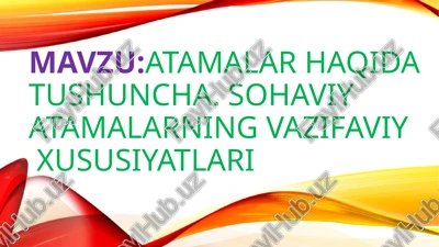 atamalar haqida tushuncha.sohaviyat amalarning vazifaviyxususiyatlari — PPTX