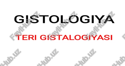teri gistologiyasi. — PPTX