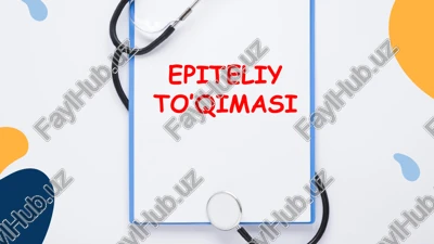 epiteliy to’qimasi — PPTX
