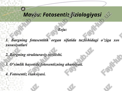 fotosentiz fiziologiyasi — PPT