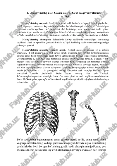 gavda skeleti — DOCX