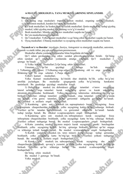 miologiya. tana muskullarining sinflanishi — DOCX