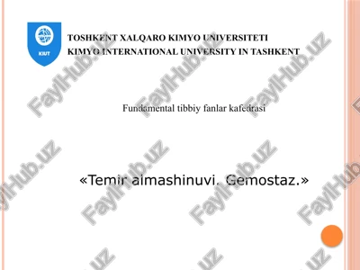 temiralmashinuvi — PPTX