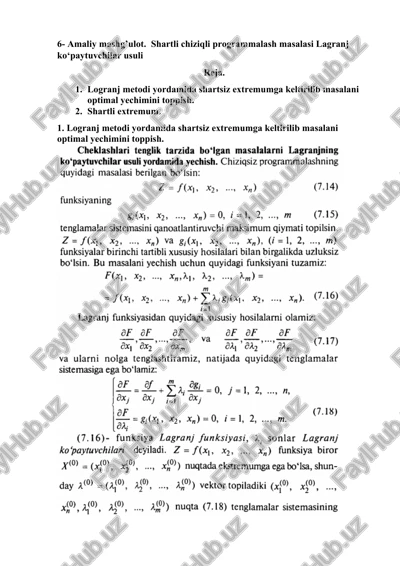 lagranj ko‘paytuvchilar usuli — DOCX