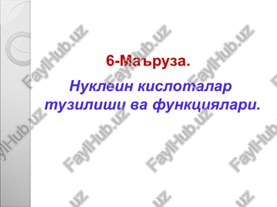 nuklein kislotalar — PPT