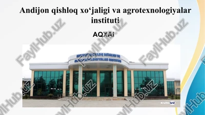 o‘zbek tilining asosiy imlo qoidalari — PPTX