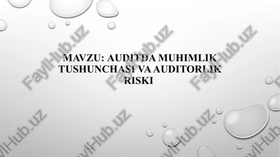 muhimliktushunchasi va auditorlik riski — PPTX