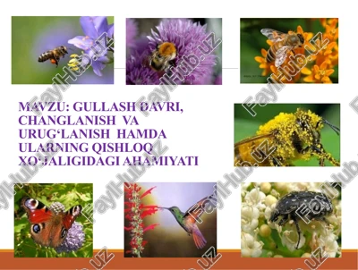 gullash davri, changlanish va urug‘lanish hamda ularning qishloq xo‘jaligida ahimiyati — PPTX