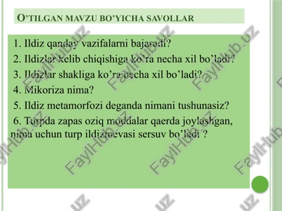 o'tilgan mavzu bo'yicha savollar — PPTX