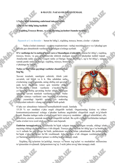 nafas olish sistemasi — DOCX