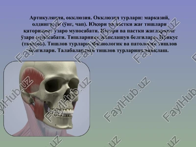 artikulyatsiya, okklyuziya — PPT