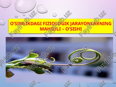 o’simlikdagifiziologik jarayonlarning mahsuli – o’sishi — PPTX