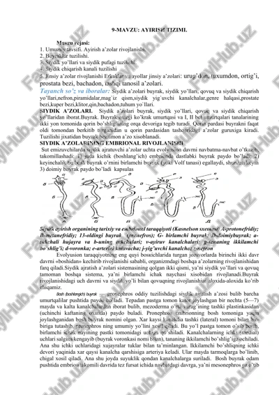 ayirish tizimi — DOCX