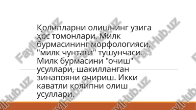 ottisk — PPTX