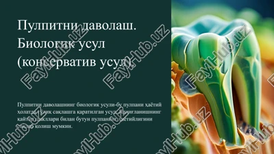 pulpitnidavolash.biologikusul(konservativusul) — PPTX