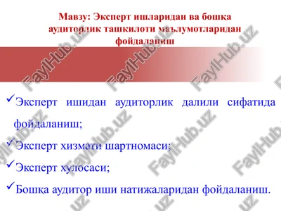 ekspert ishlaridan va boshqa auditorlik tashkiloti ma'lumotlaridan foydalanish — PPTX