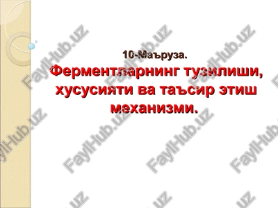fermentlarning tuzilishi, xususiyati va ta'sir etish mexanizmi — PPT