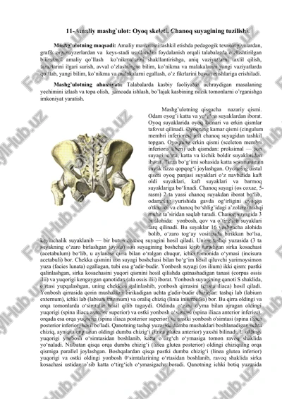oyoq skeleti — DOCX