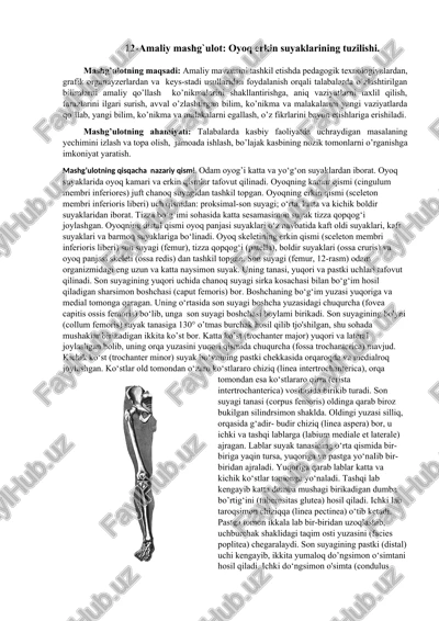 oyoq erkin suyaklarining tuzilishi — DOCX