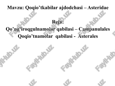 qoqio’tkabilar ajdodchasi – asteridae — PPTX