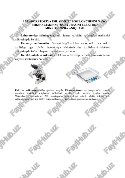 laboratoriya ish - sement bog'lovnchisini nano, mikro, makro strukturasini elektron mikroskopda aniqlash — DOCX