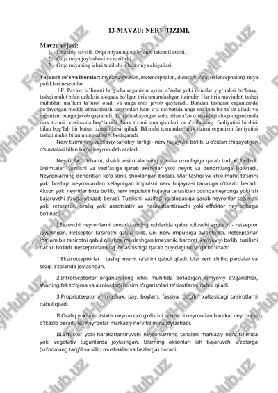 nerv tizimi — DOCX