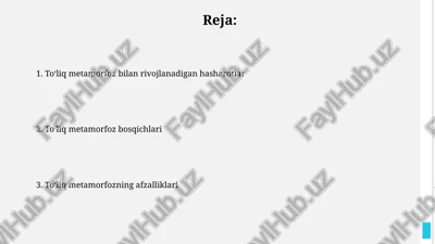 pashshalar (diptera): bir juft qanotning kuchi — PPTX