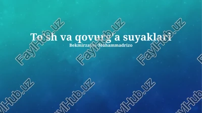 to'sh va qovurg'a suyaklari — PPTX