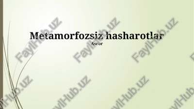 metamorfozsiz hasharotlar — PPTX